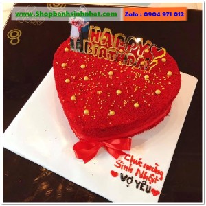 Bánh Sinh Nhật Tiramisu - T315